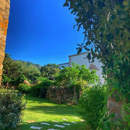 Agriturismo Casteddu Padru Exterior foto