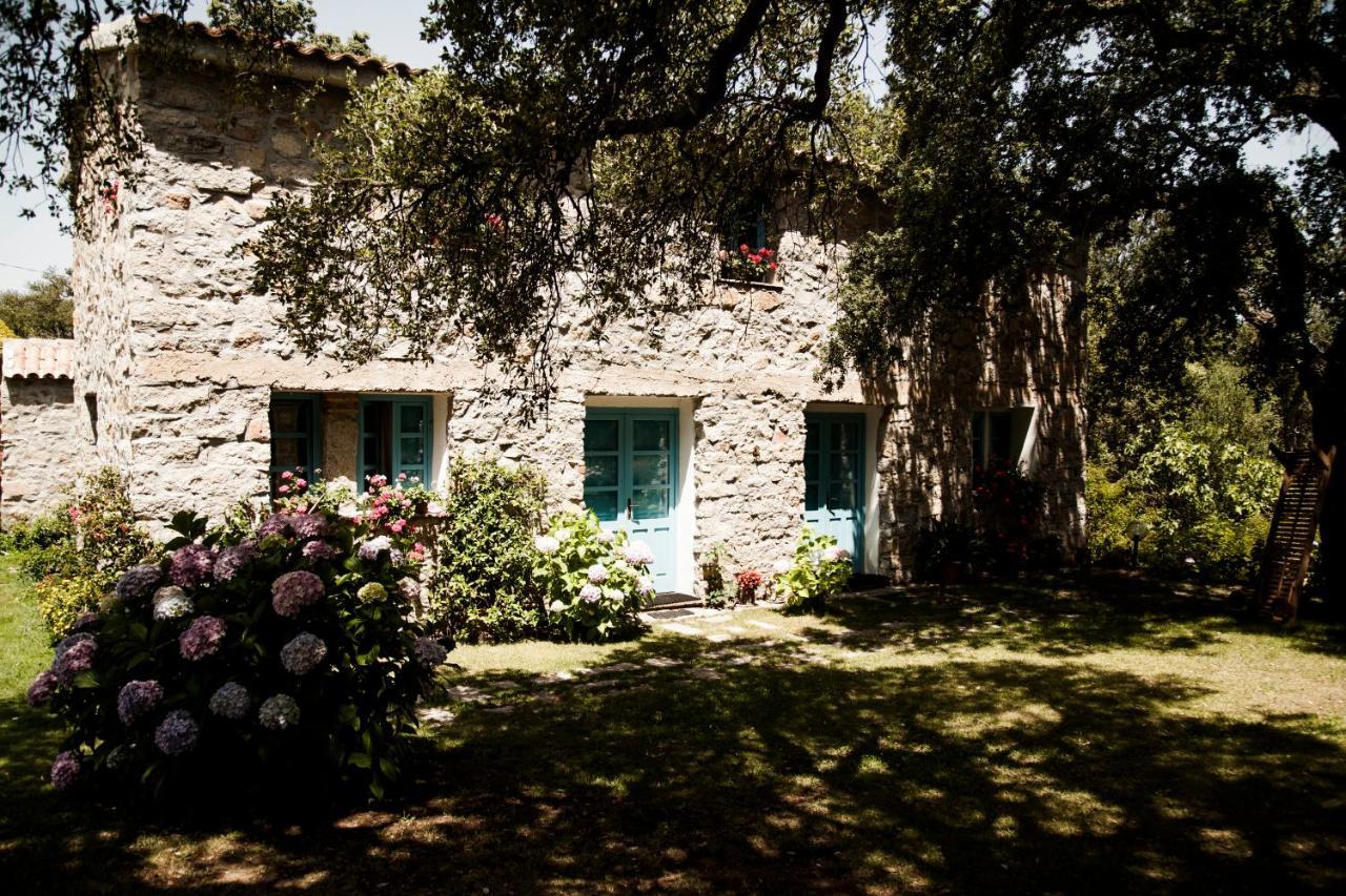 Agriturismo Casteddu Padru Exterior foto
