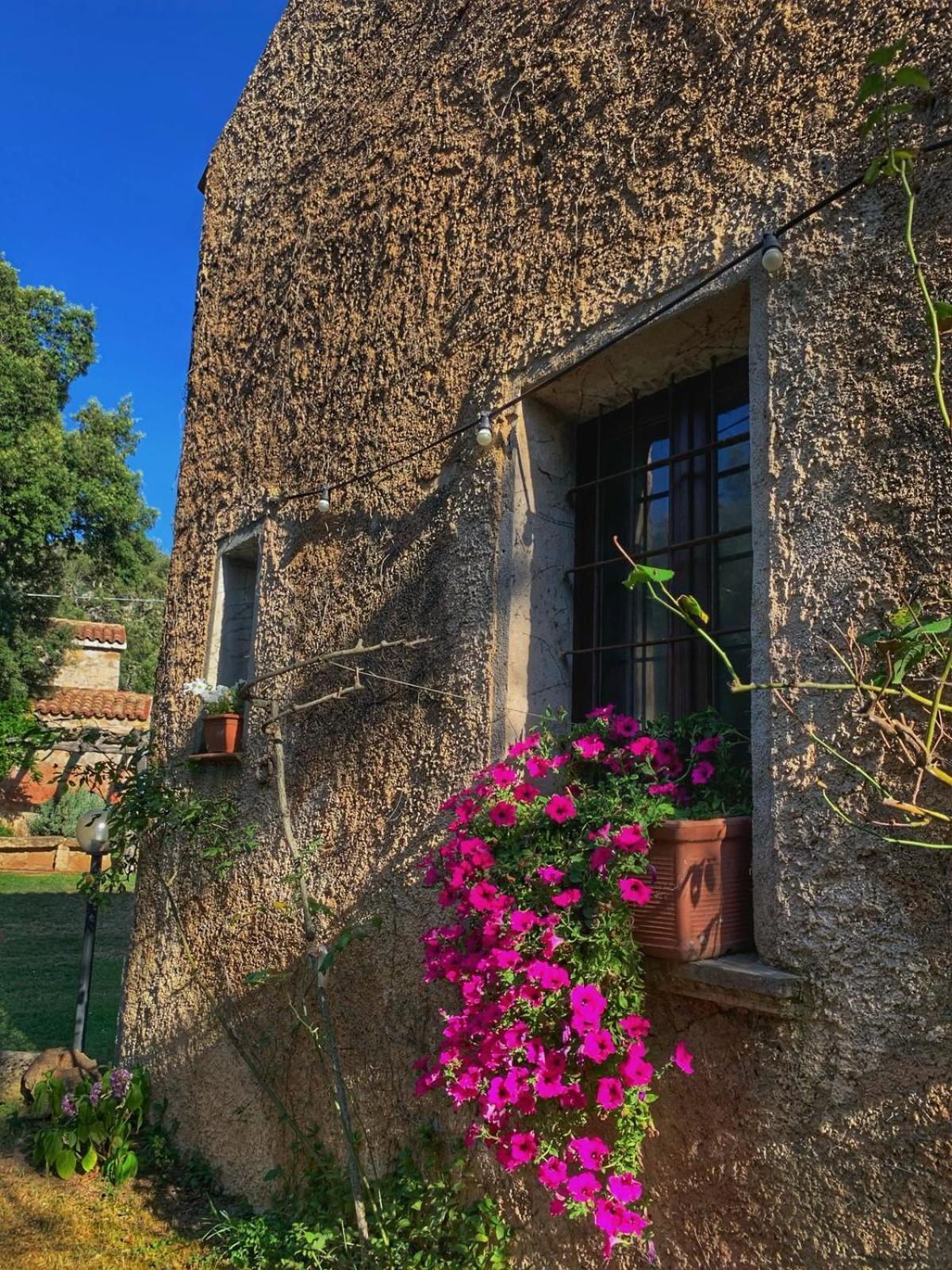Agriturismo Casteddu Padru Exterior foto