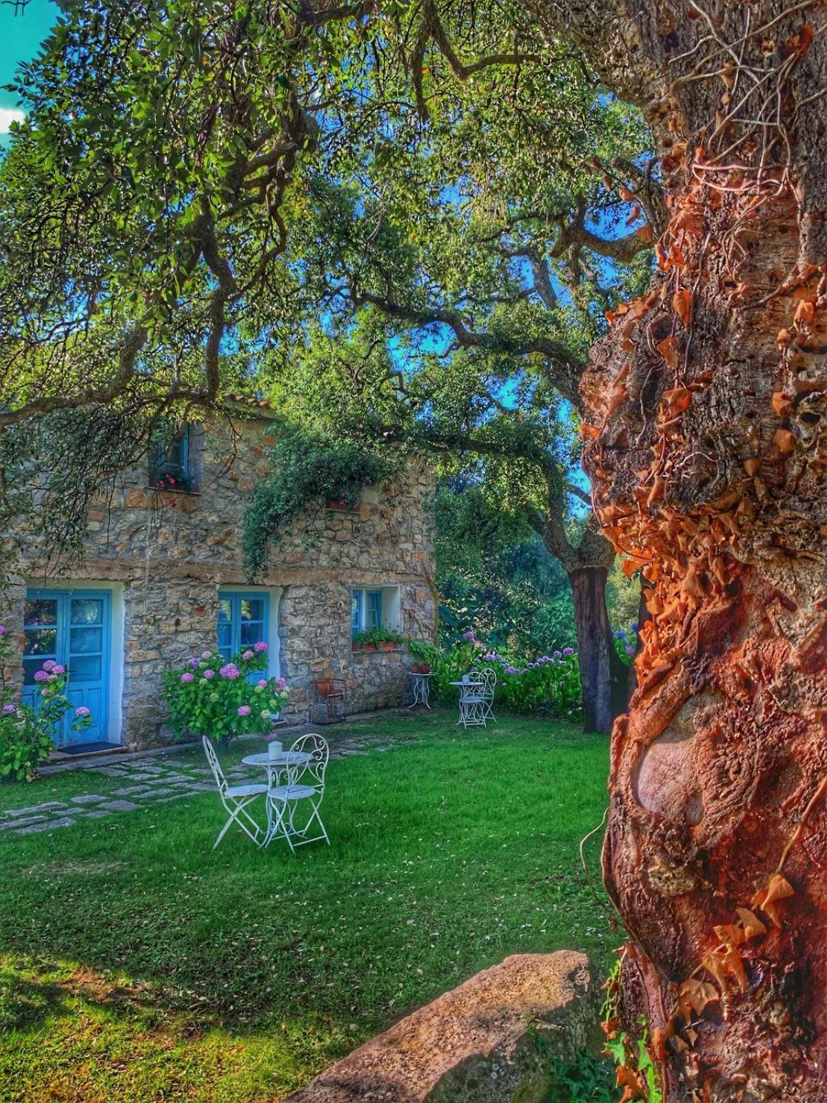 Agriturismo Casteddu Padru Exterior foto